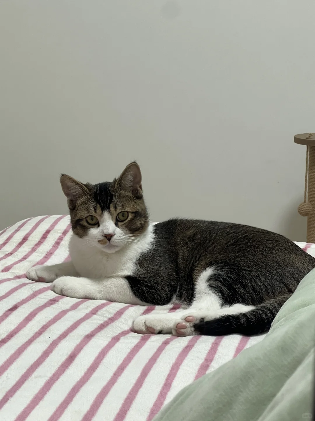 天呐天呐，我床上竟有此等尤物