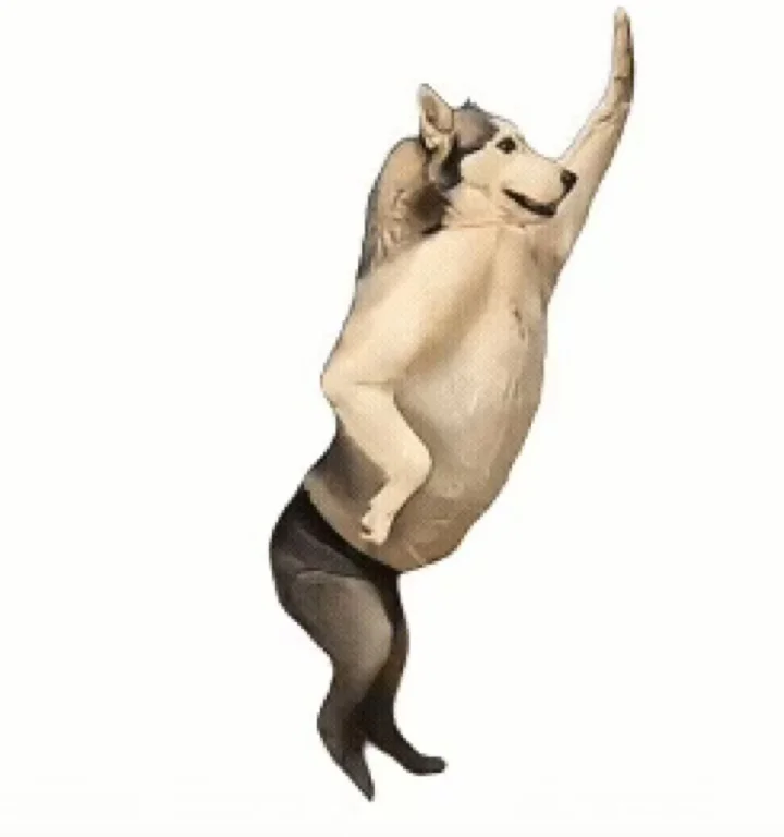 快拿去调戏你的npy！哈哈哈