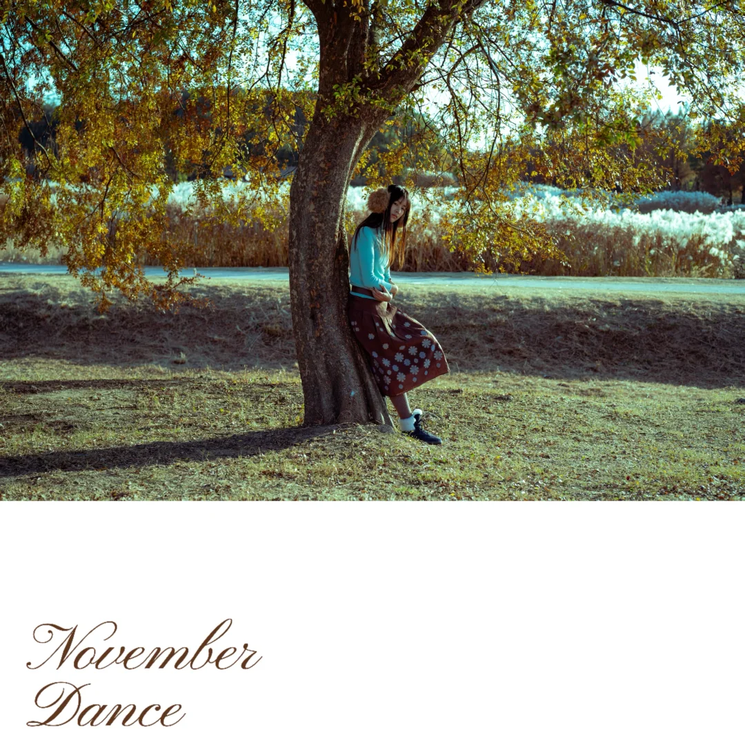 当我把照片按苍井优旅行写真排版