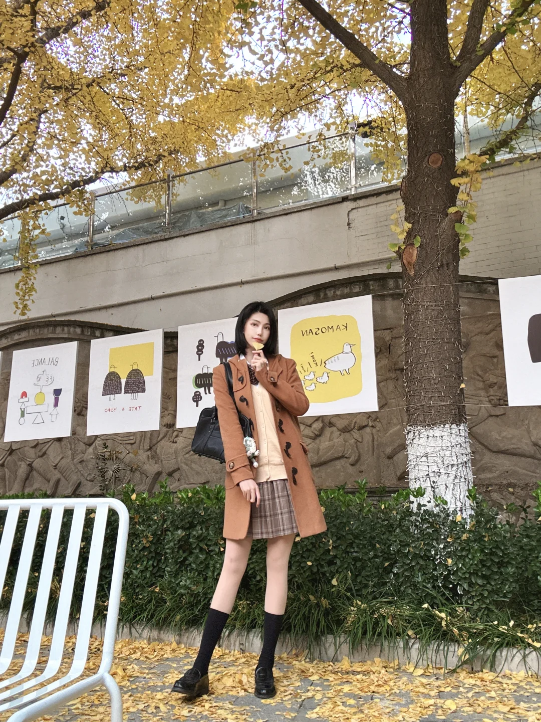 190|一叶知秋🍁