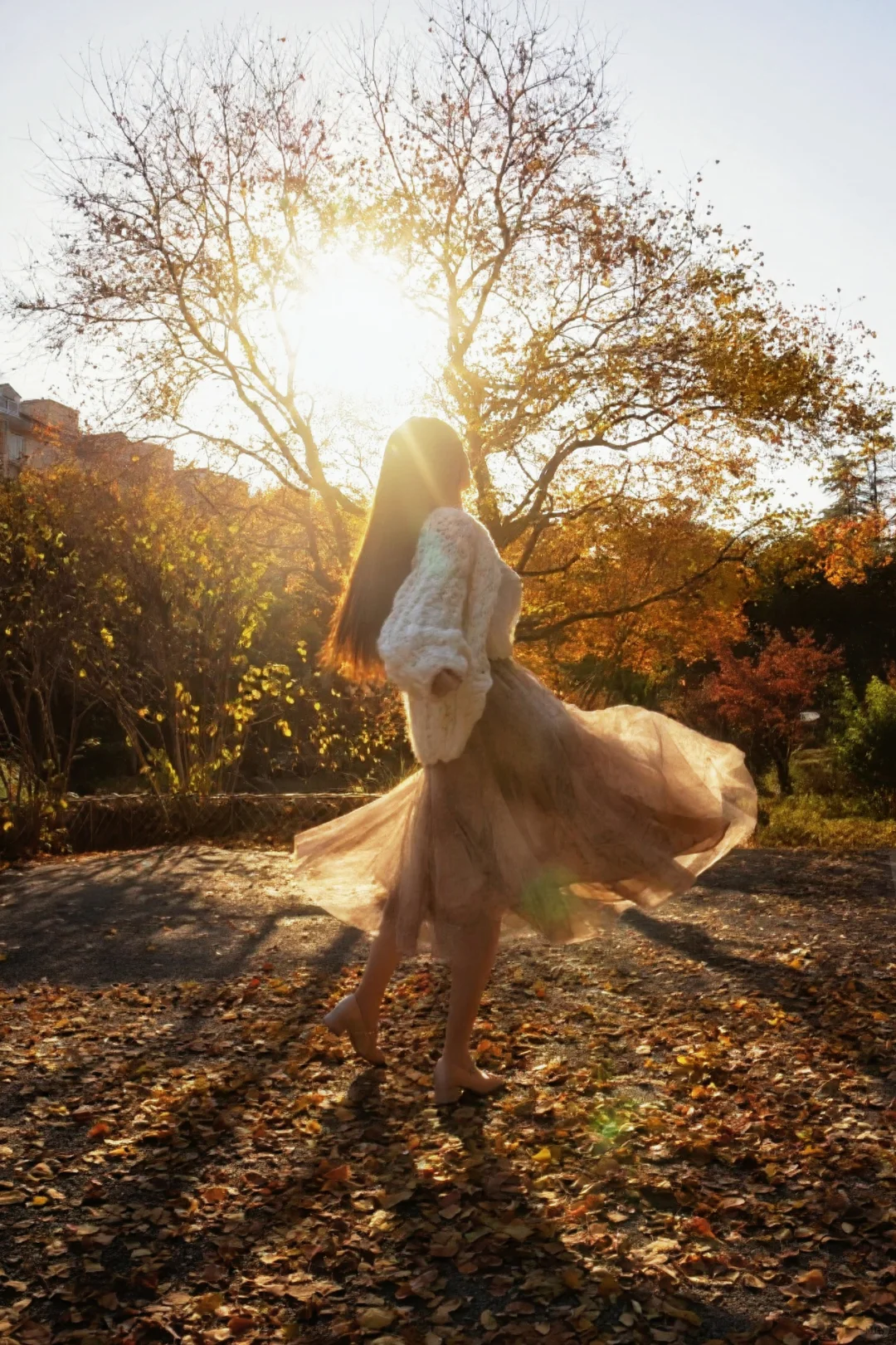 请你看过秋天的落叶🍂还有琉光