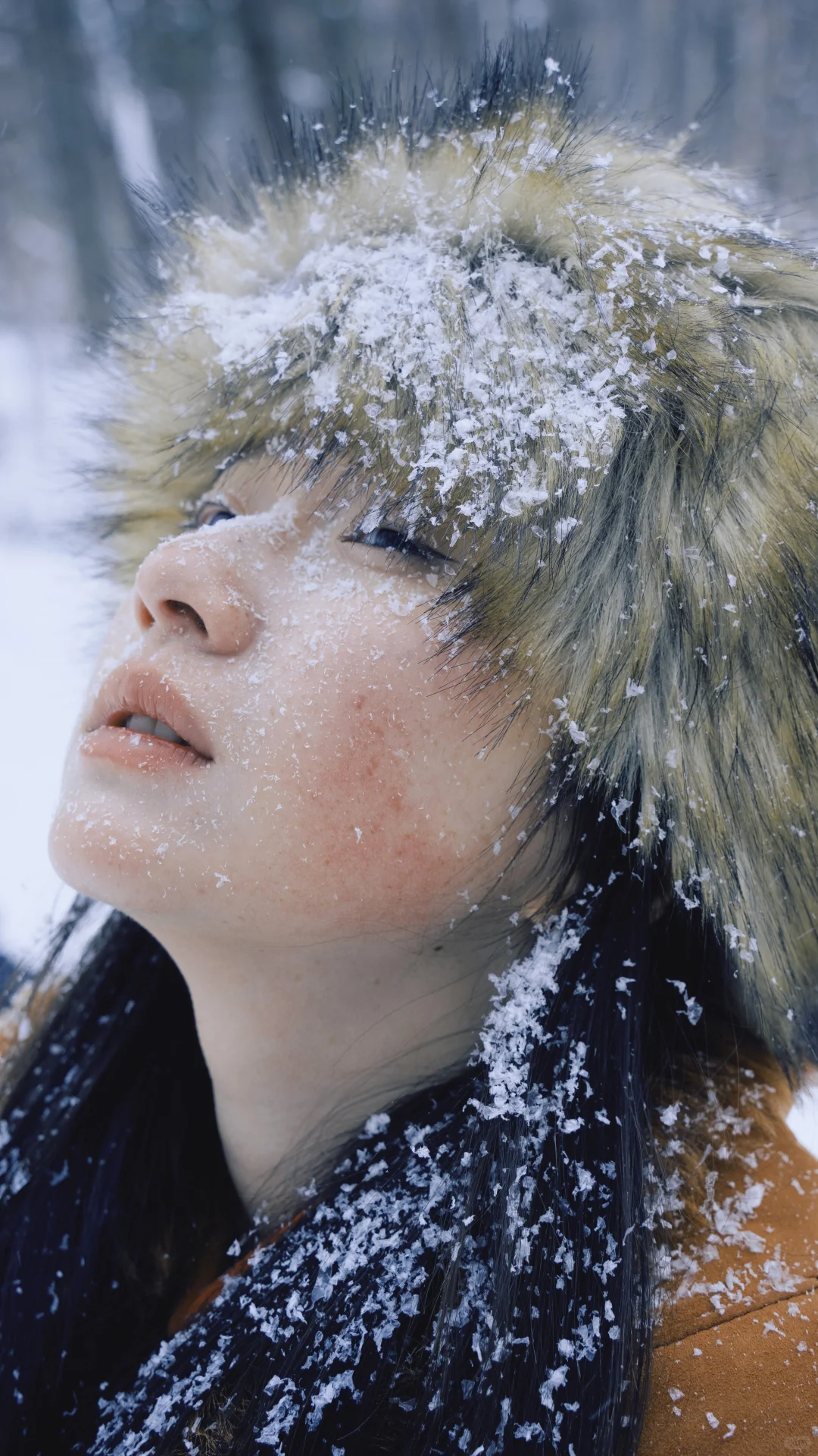 全屏观看我的冬日写真集