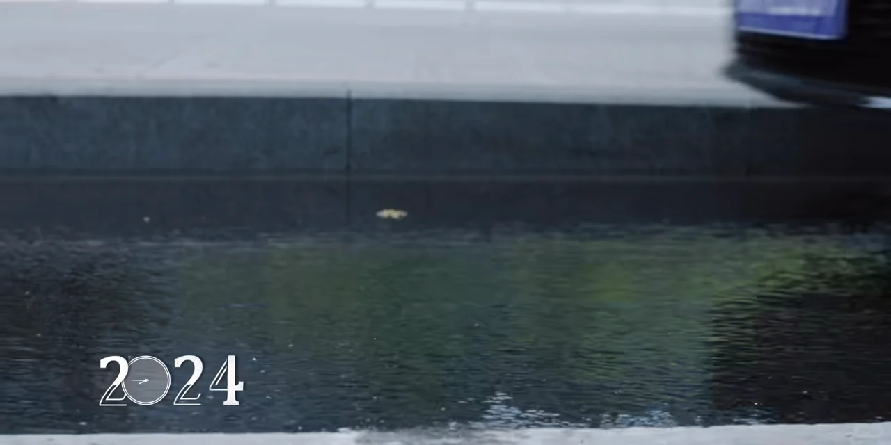 狙击蝴蝶🦋看后感