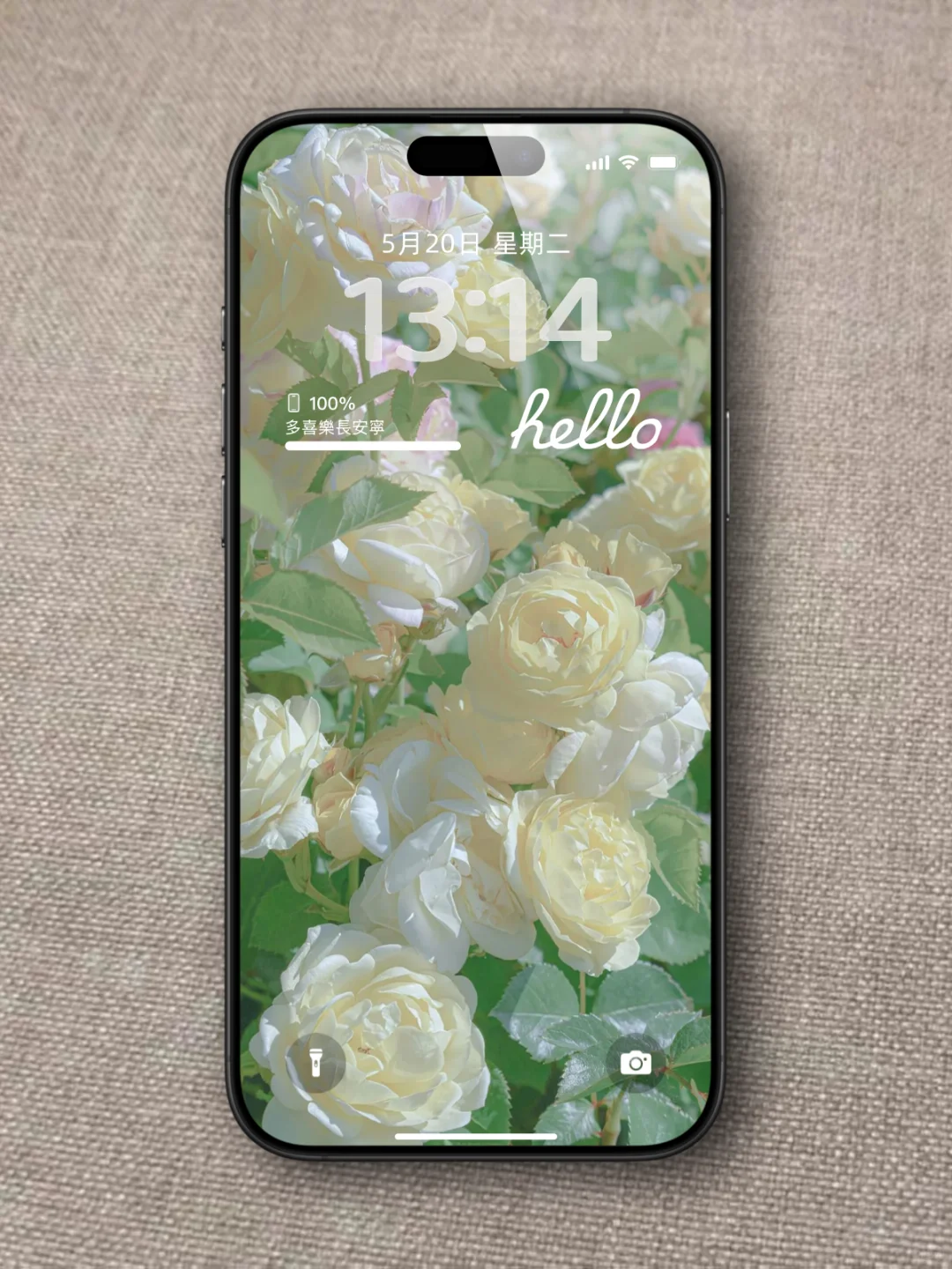 小众又高级的壁纸来啦！🌼