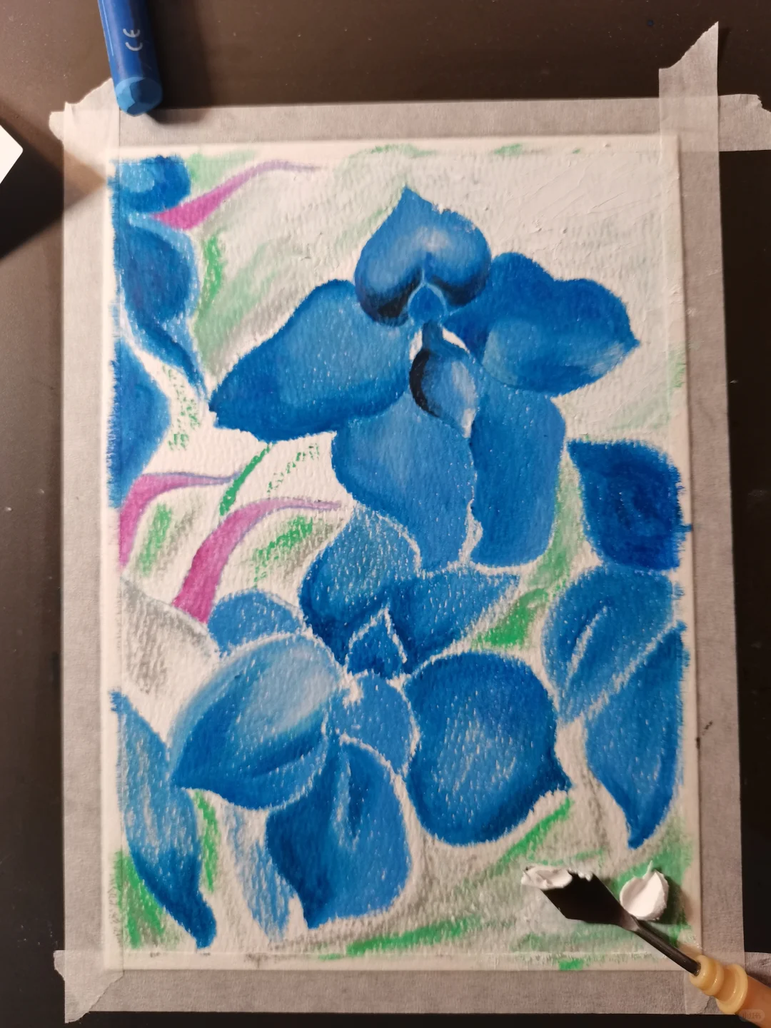 油画棒 | 娇艳蝴蝶兰