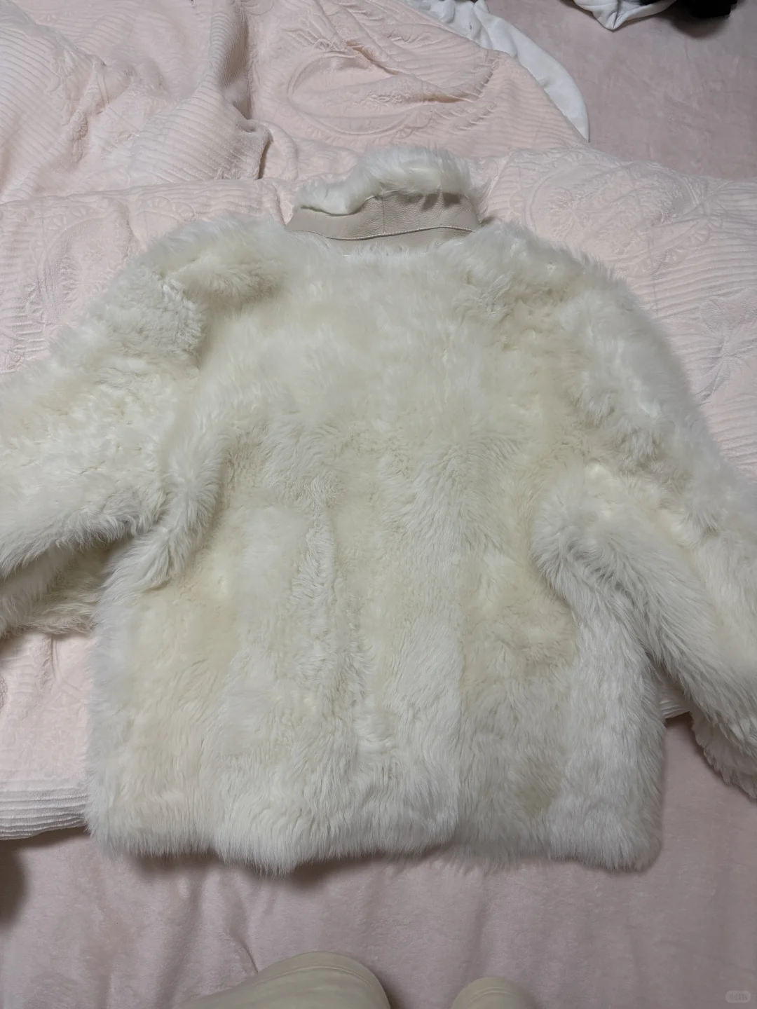 付智恩 冰岛铃音怎么选！！