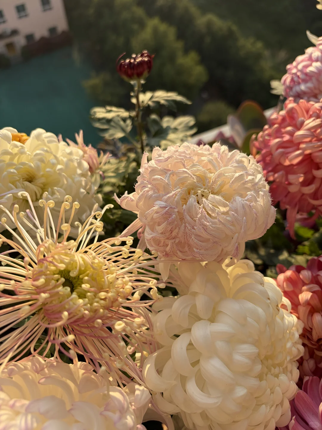 日出拍出了日落的感觉