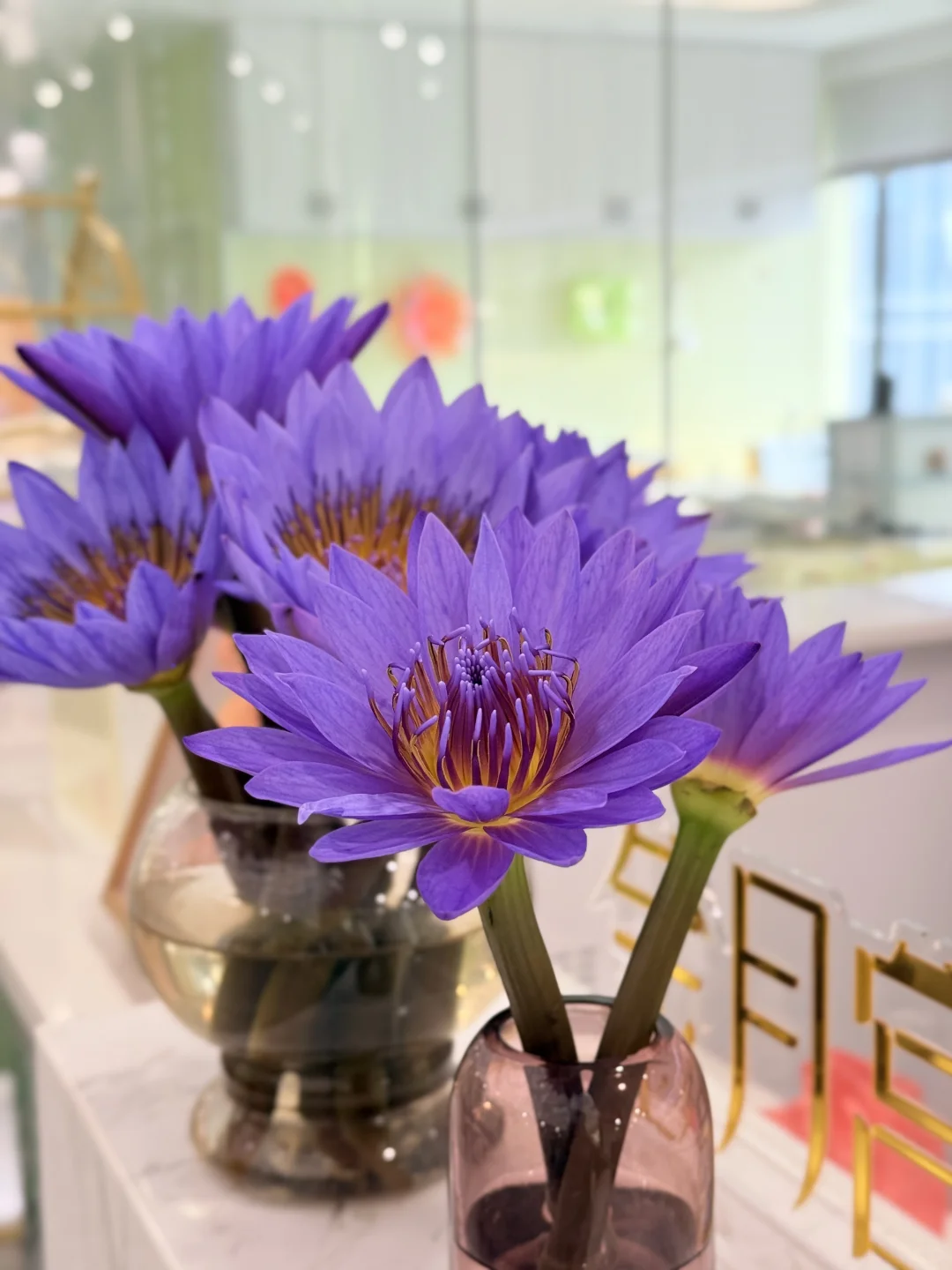 前台的花🌸今天的微笑担当