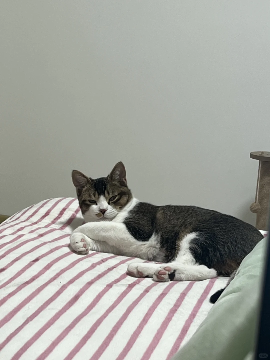 天呐天呐，我床上竟有此等尤物