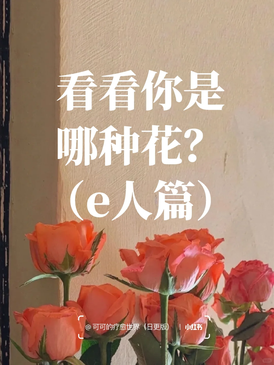 准到离谱！16型人格对应这16种花🌹（下）