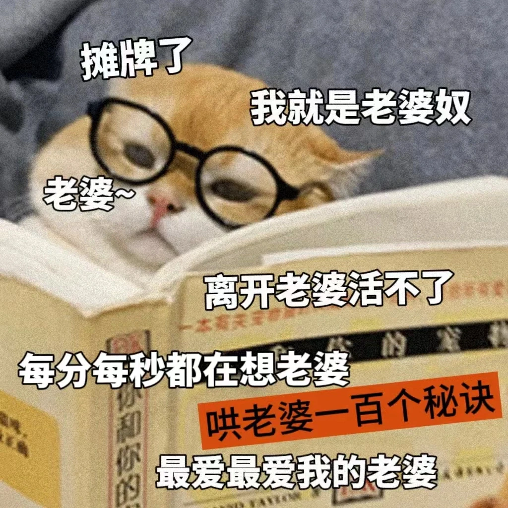 01期 情侣污污表情包