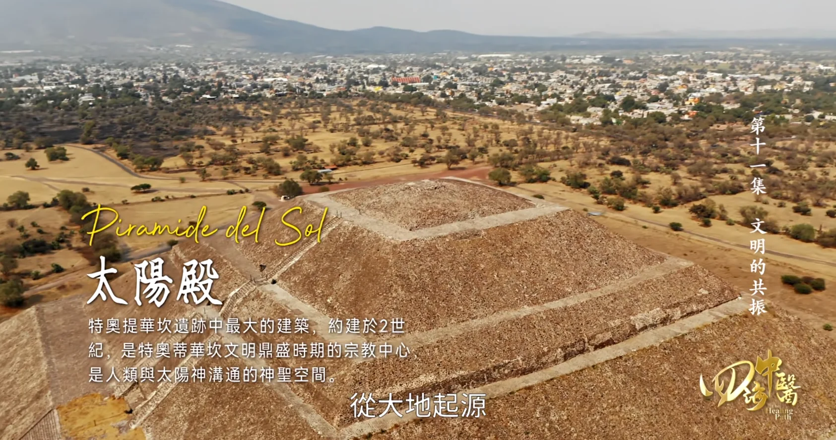 一部《四海中医》，带你看遍全球养生智慧！🌍✨