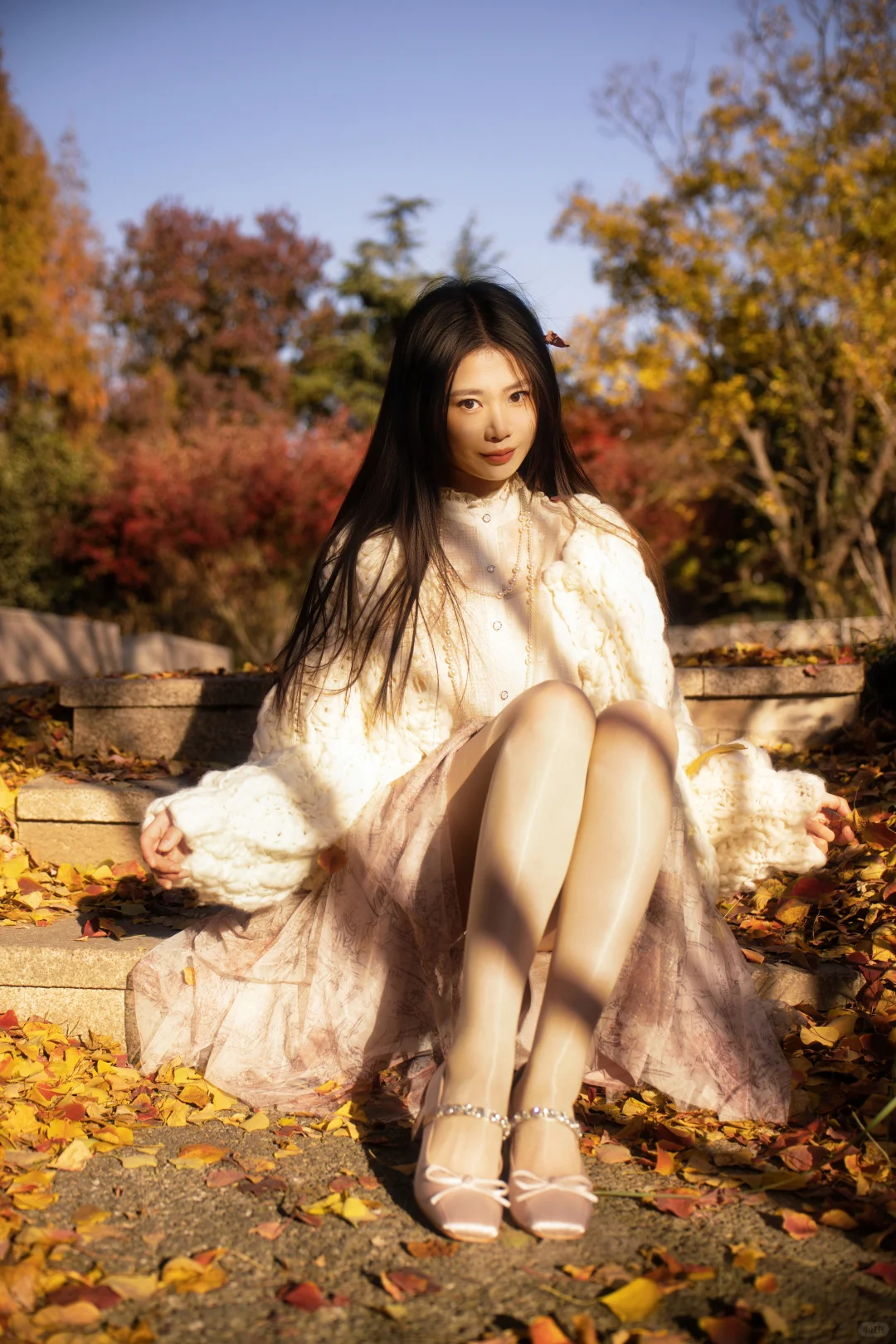 请你看过秋天的落叶🍂还有琉光