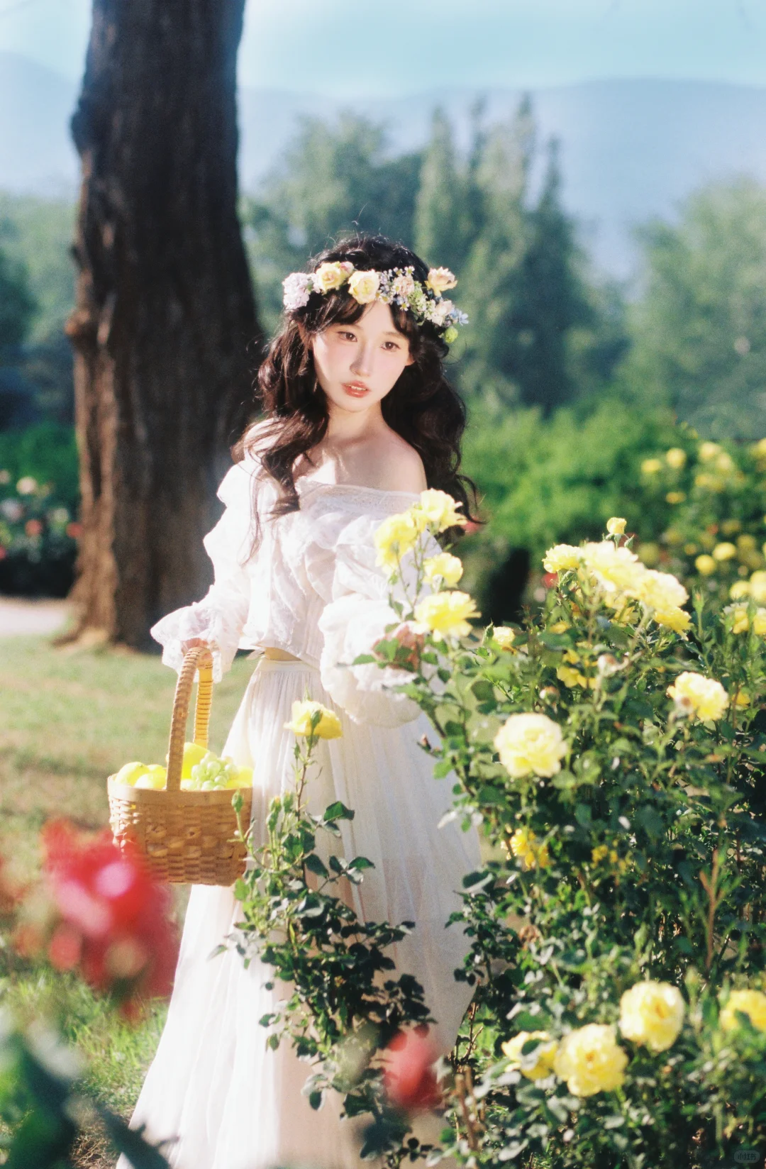 均价600一套的写真集 大家帮我看看