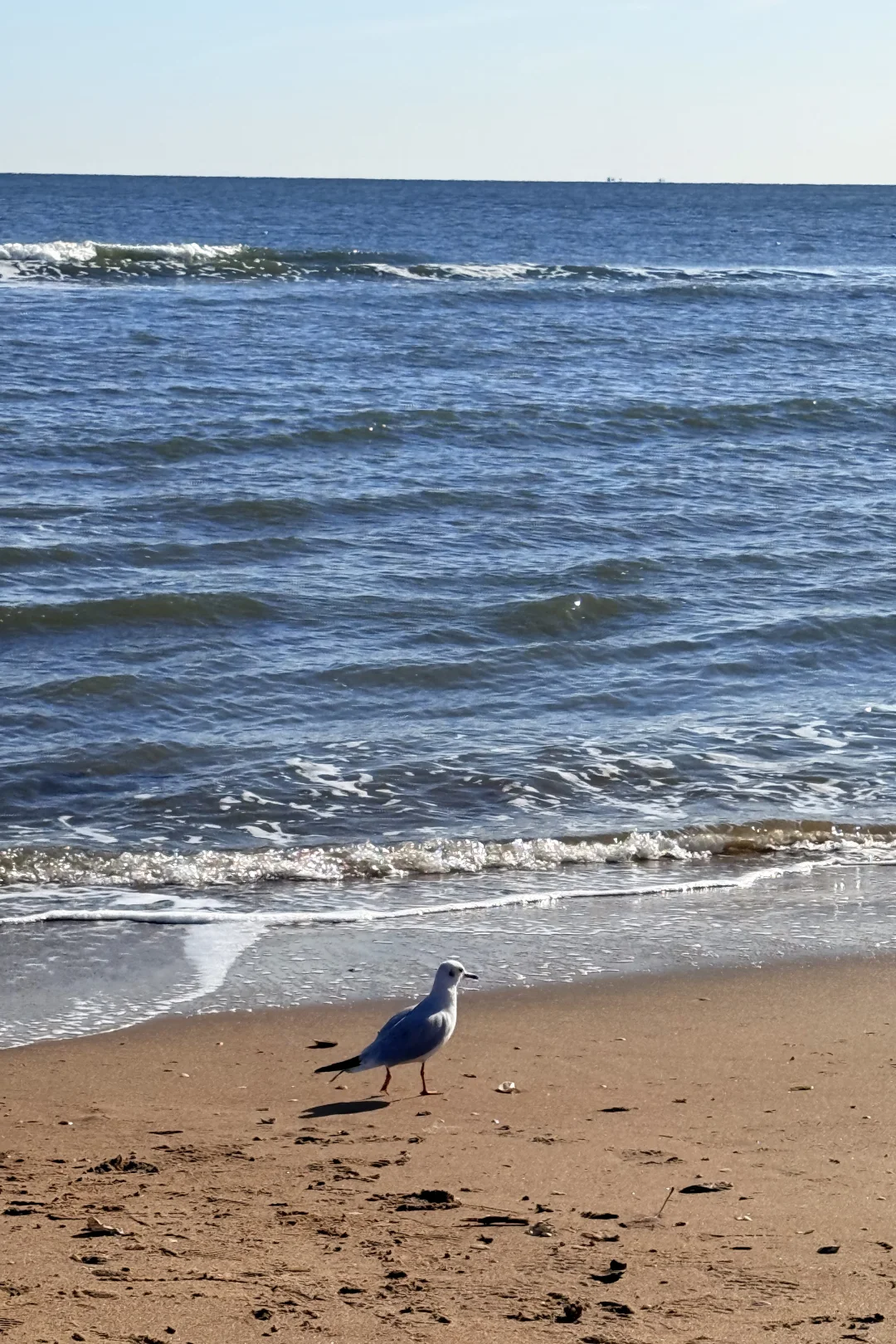 想去海边啦🌊🌊🌊