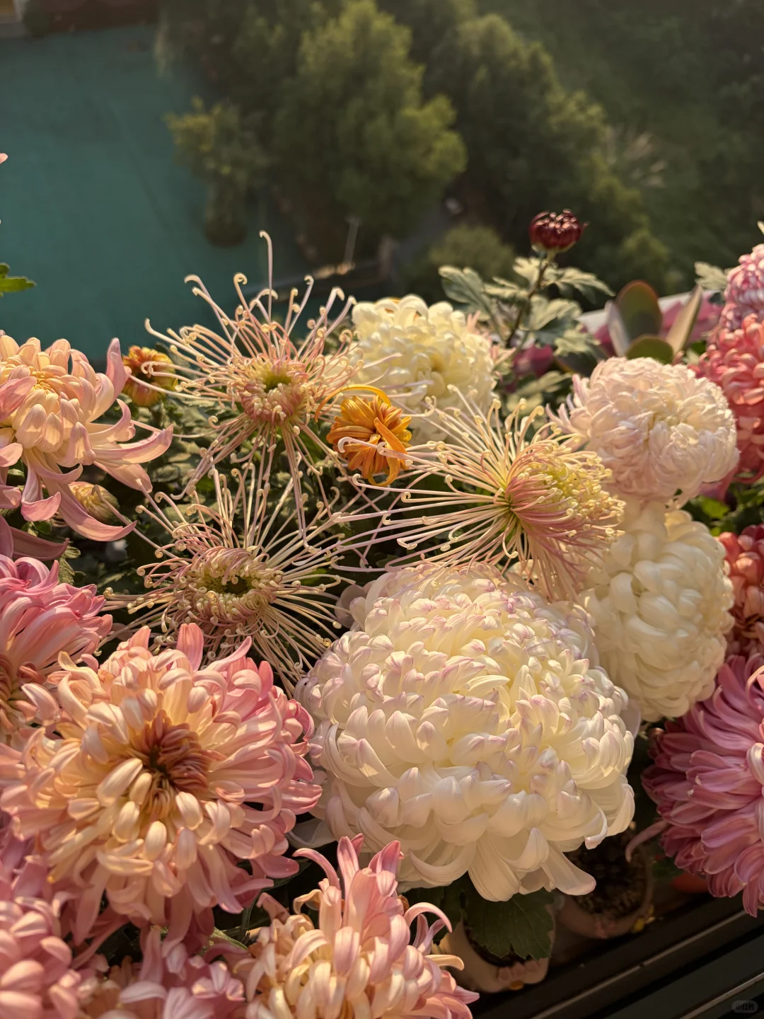 日出拍出了日落的感觉