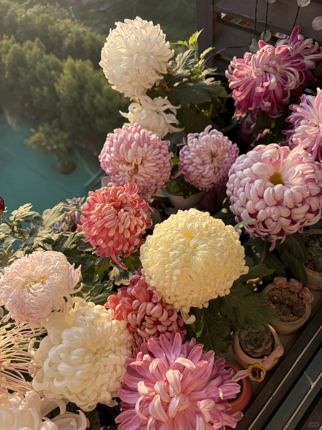 日出拍出了日落的感觉