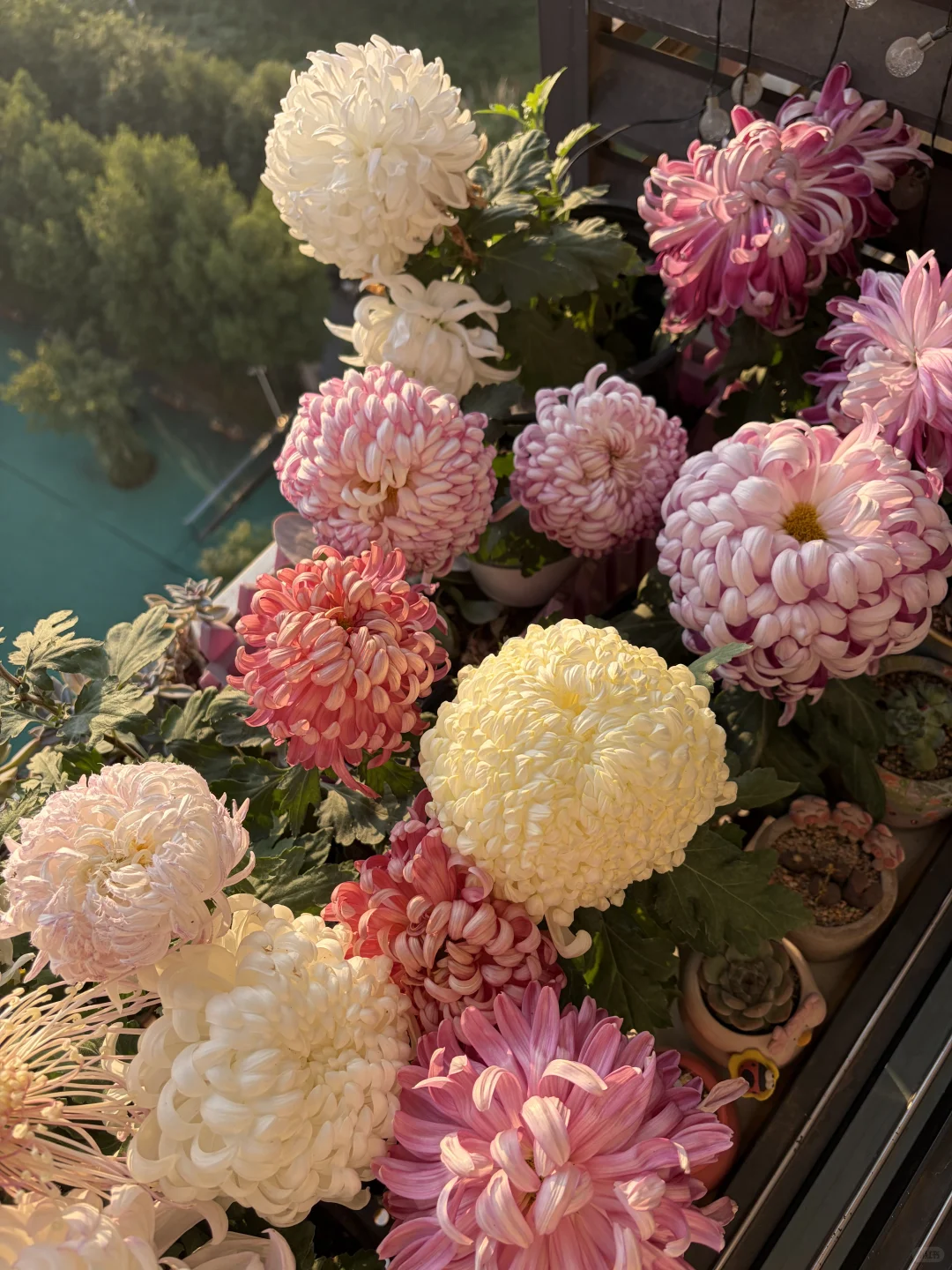 日出拍出了日落的感觉