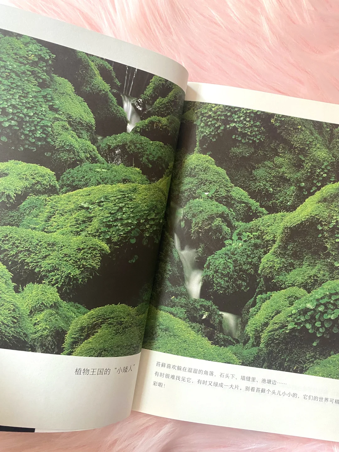 60w妈妈认可的作品续集，让孩子喜欢上科普！