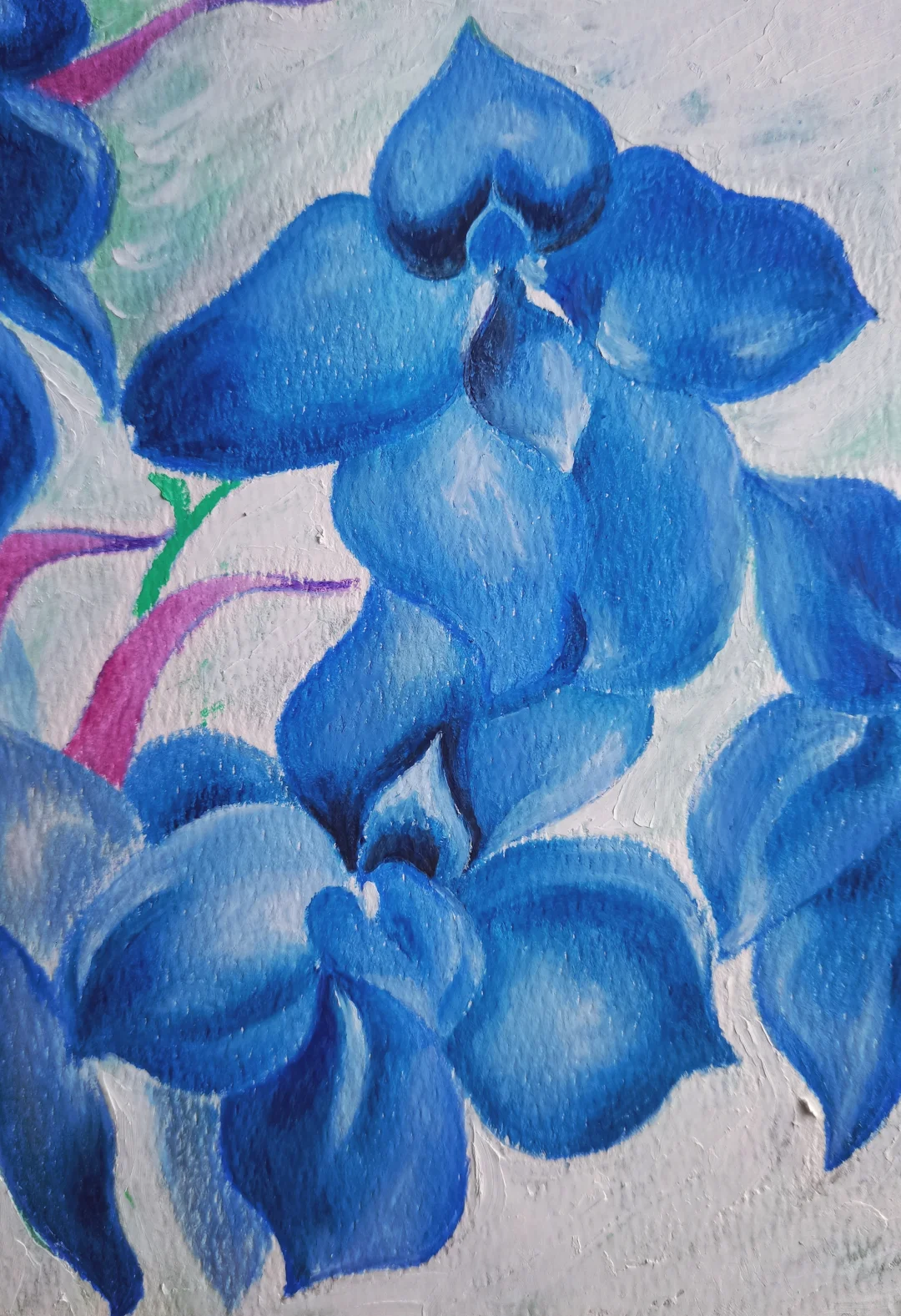 油画棒 | 娇艳蝴蝶兰