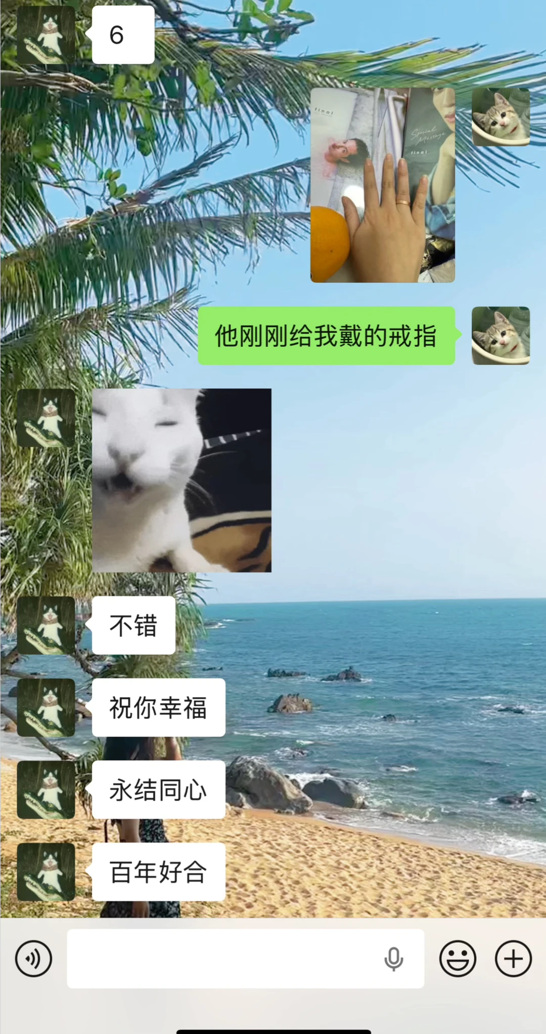 从今天起，要幸福呀！💍