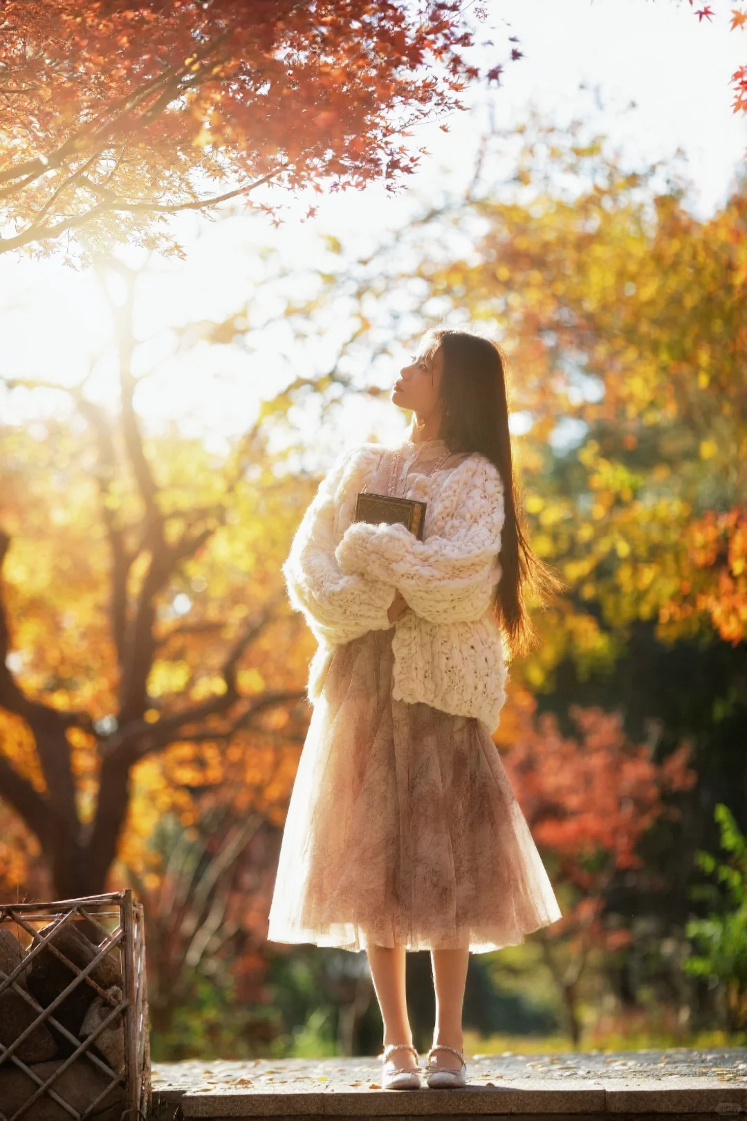 请你看过秋天的落叶🍂还有琉光