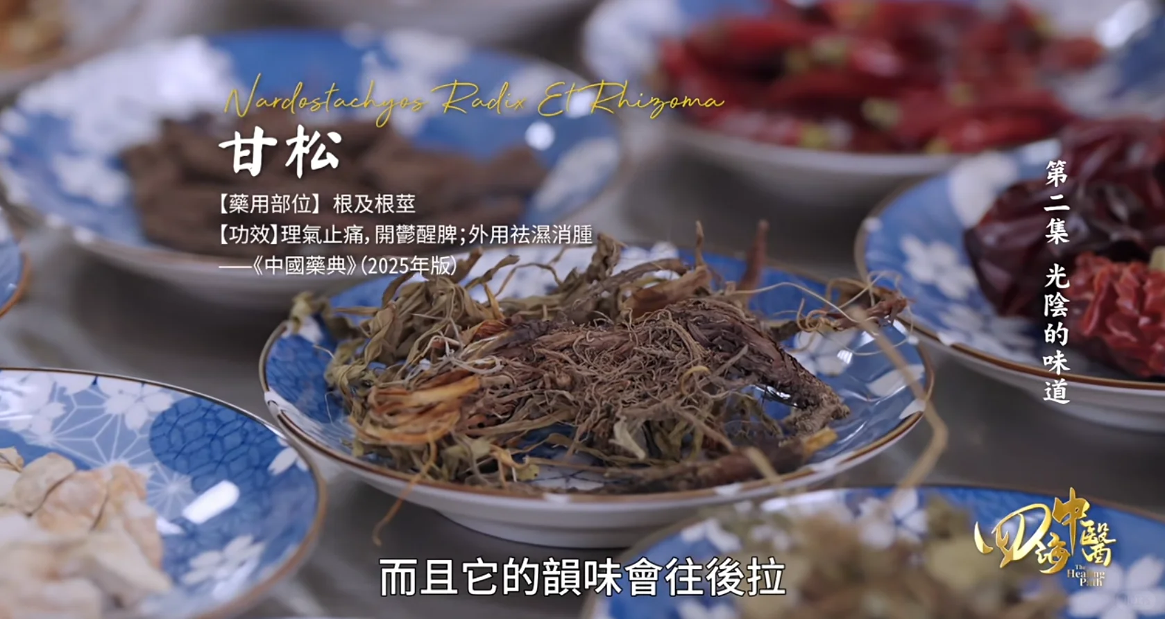 一部《四海中医》，带你看遍全球养生智慧！🌍✨