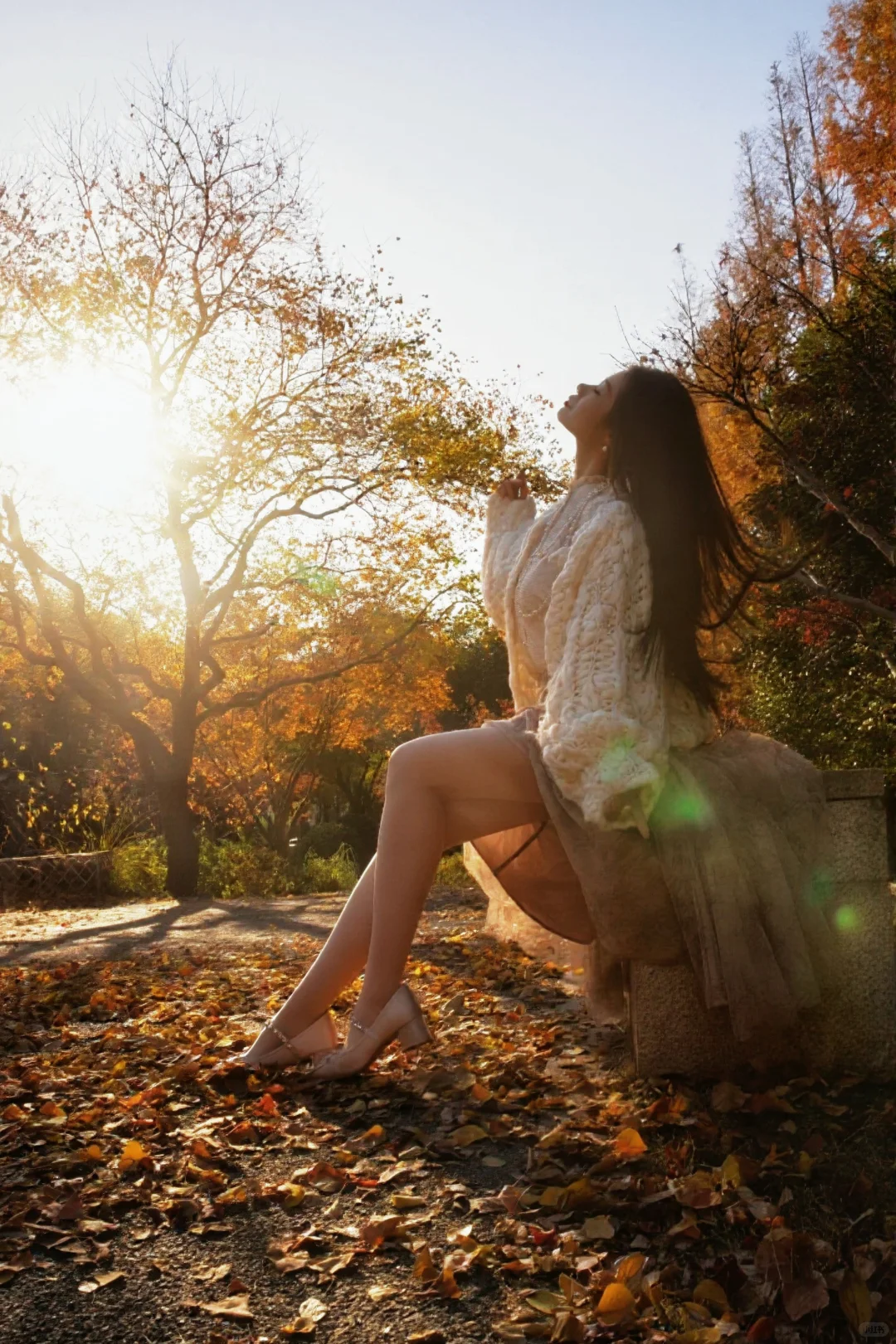 请你看过秋天的落叶🍂还有琉光