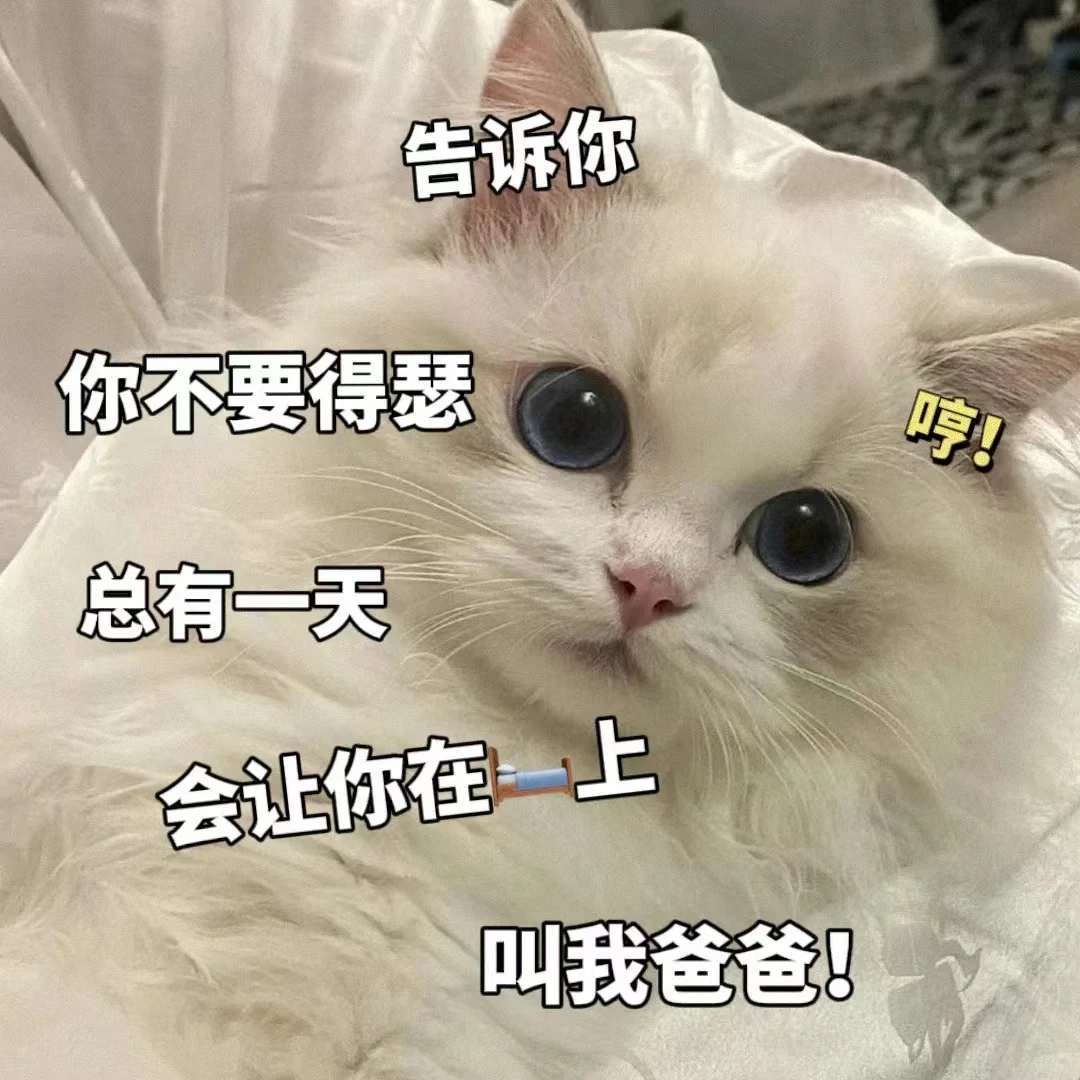 01期 情侣污污表情包