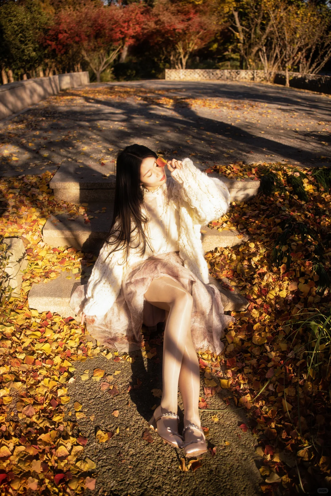 请你看过秋天的落叶🍂还有琉光