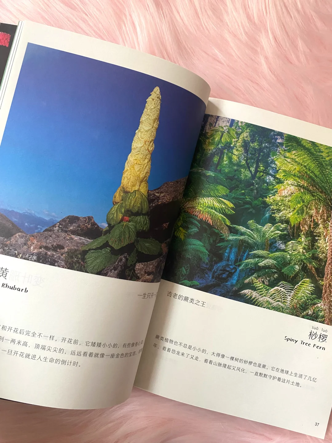 60w妈妈认可的作品续集，让孩子喜欢上科普！