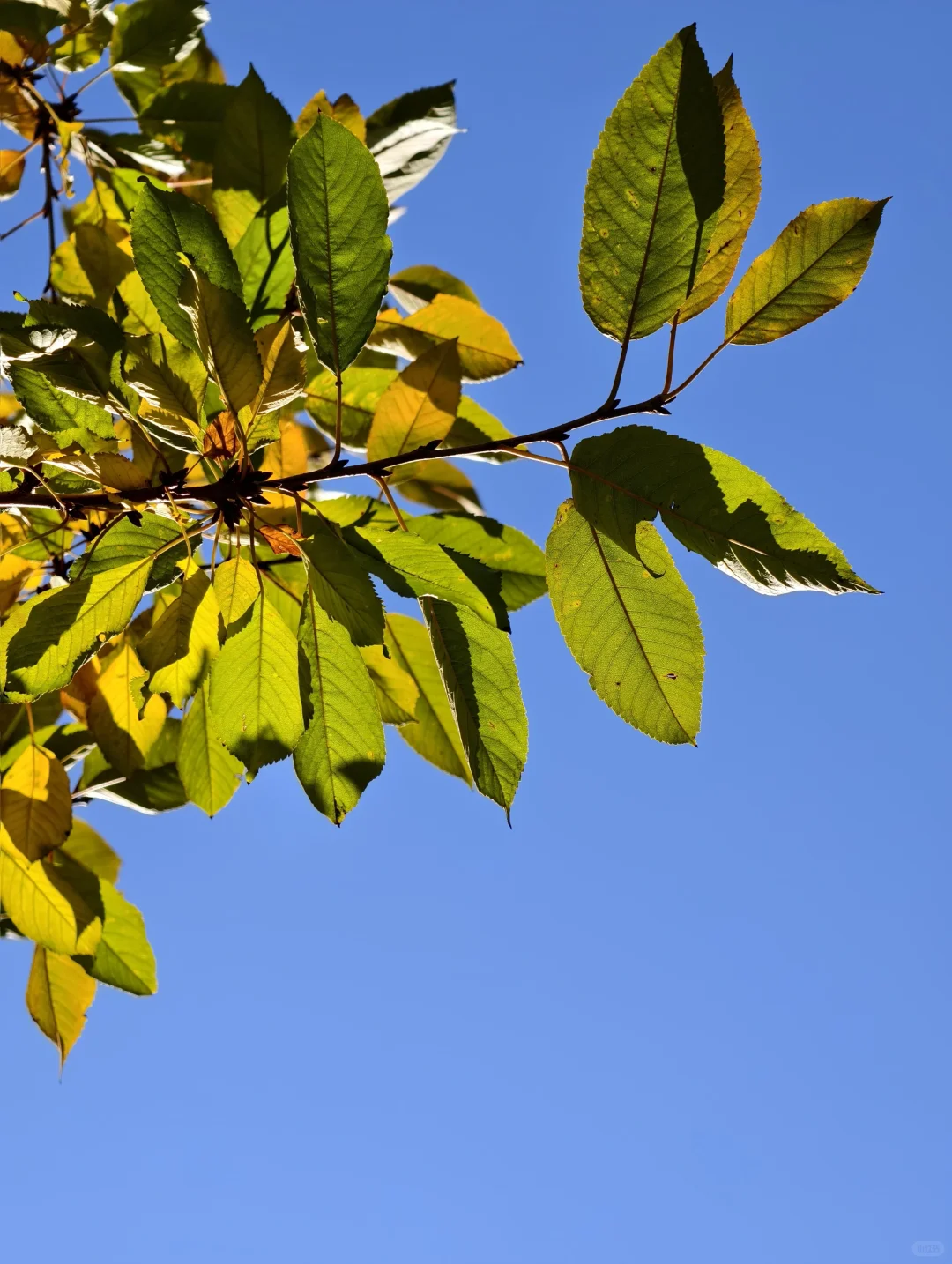 33岁 未婚未育 我毫无规划的人生