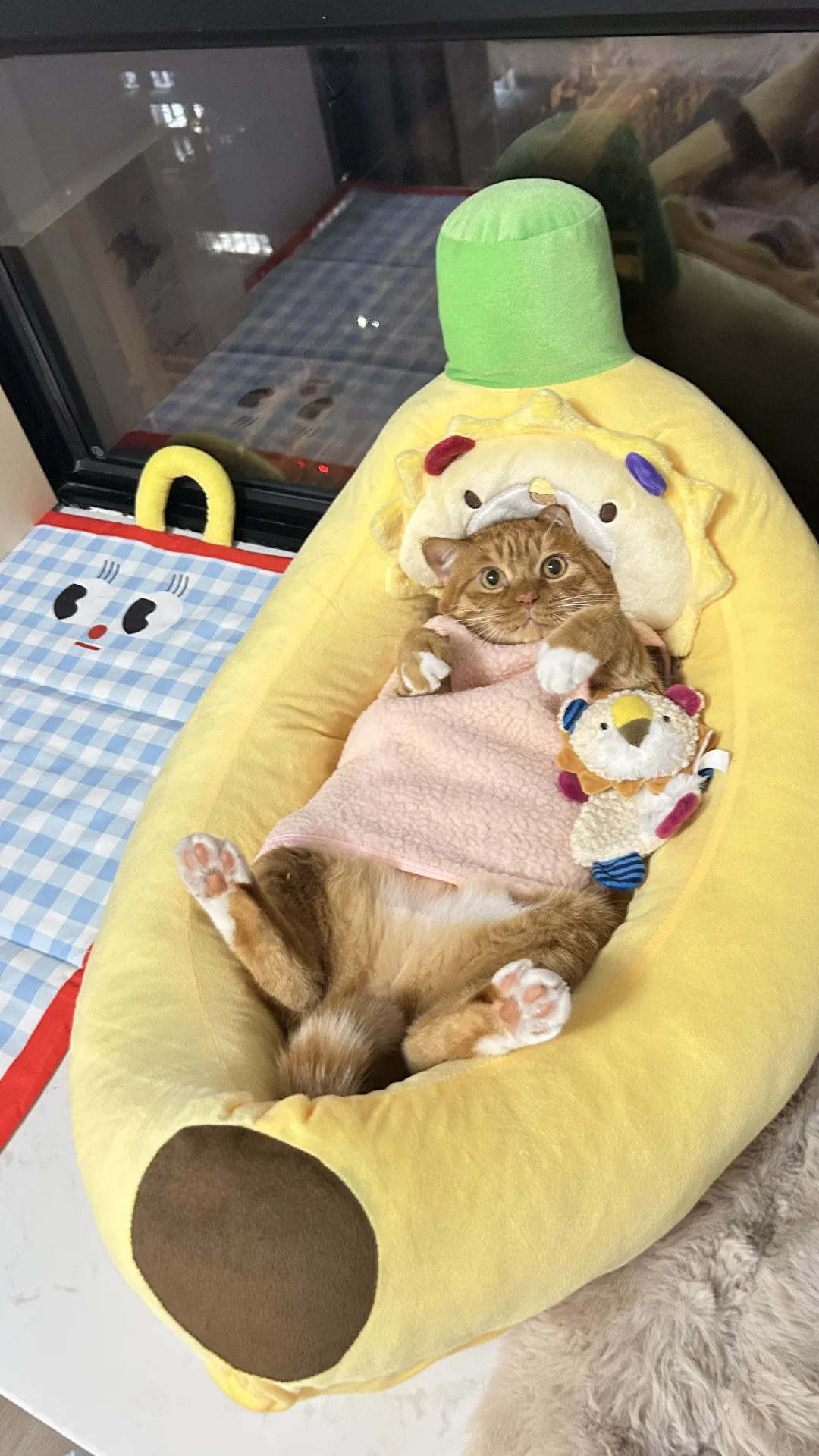 粉色娇嫩四郎我来穿了