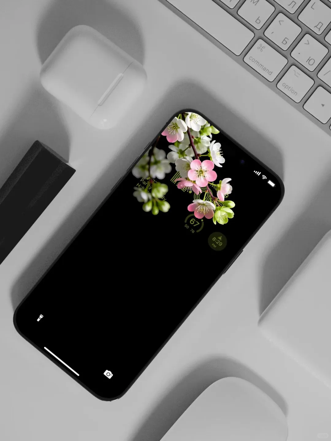 简约高级感｜一树花开～飘粉