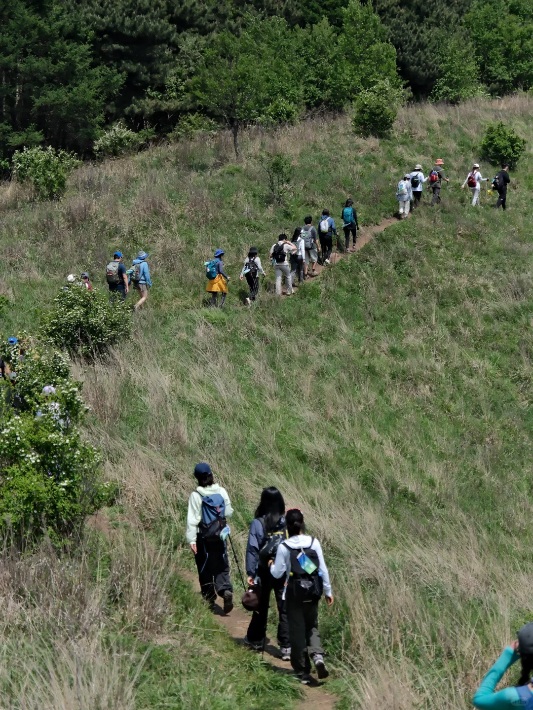 生活无解，不如当个太阳能女孩户外撒野！