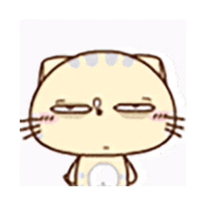 CC猫表情包｜这一路的麻辣鲜香只有自己知道