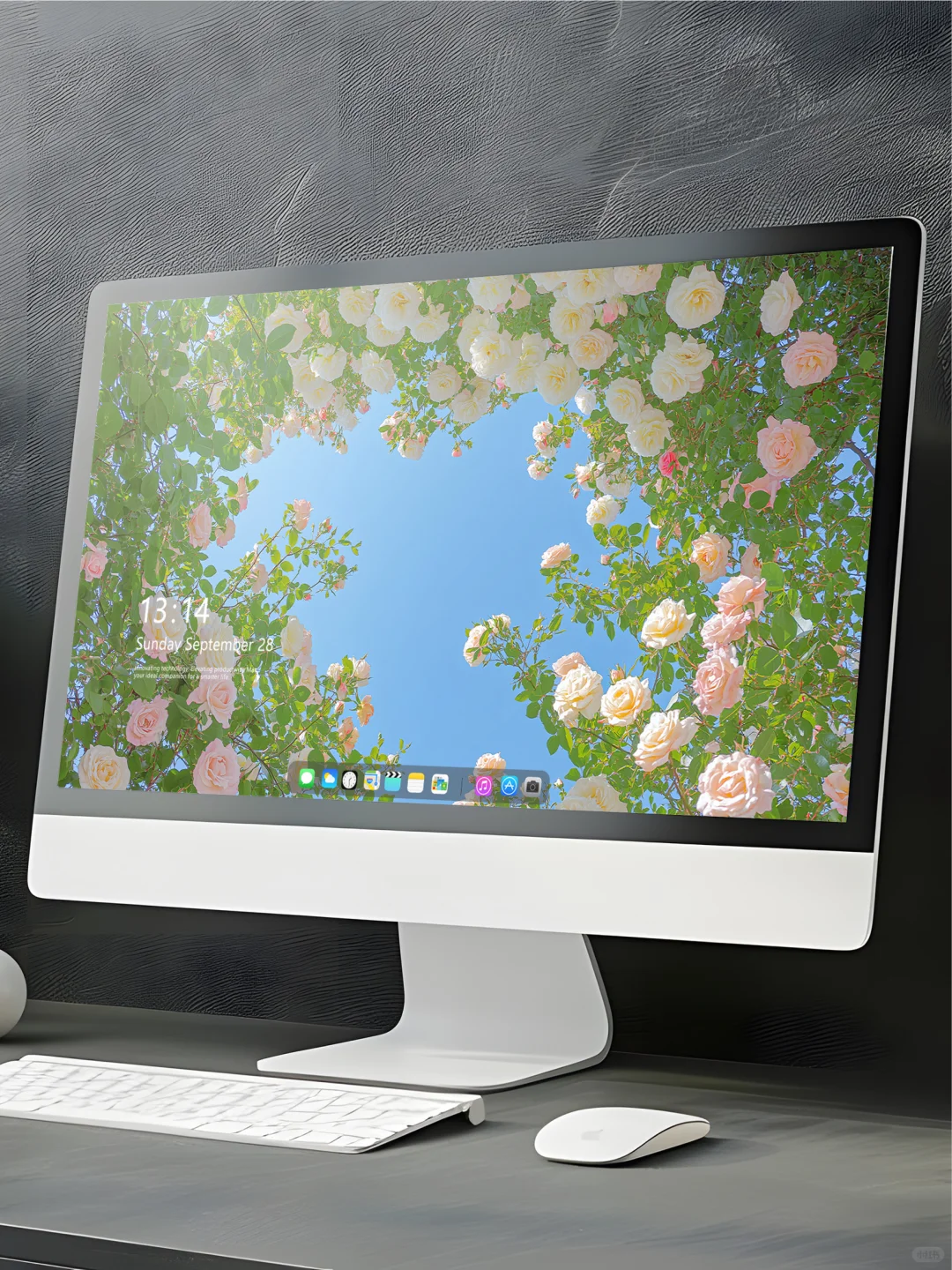 唯美治愈系花海壁纸，太喜欢啦！83