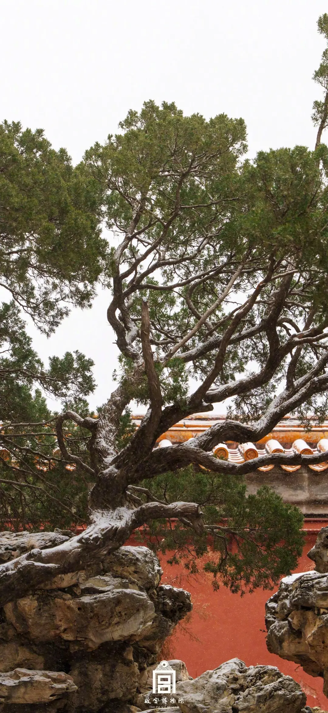 收藏这组壁纸，等于拥有了故宫雪季的入场券