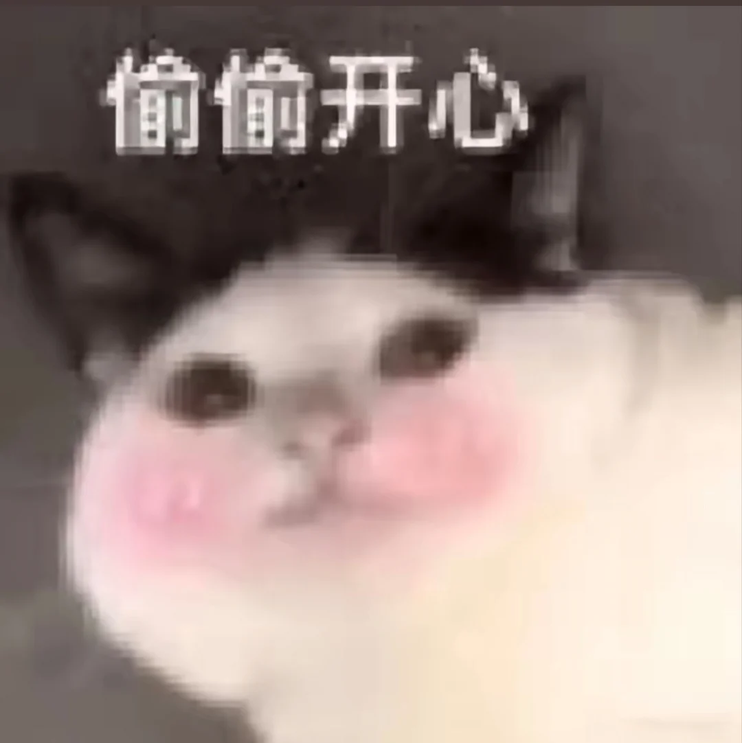 可爱猫咪表情包分享！