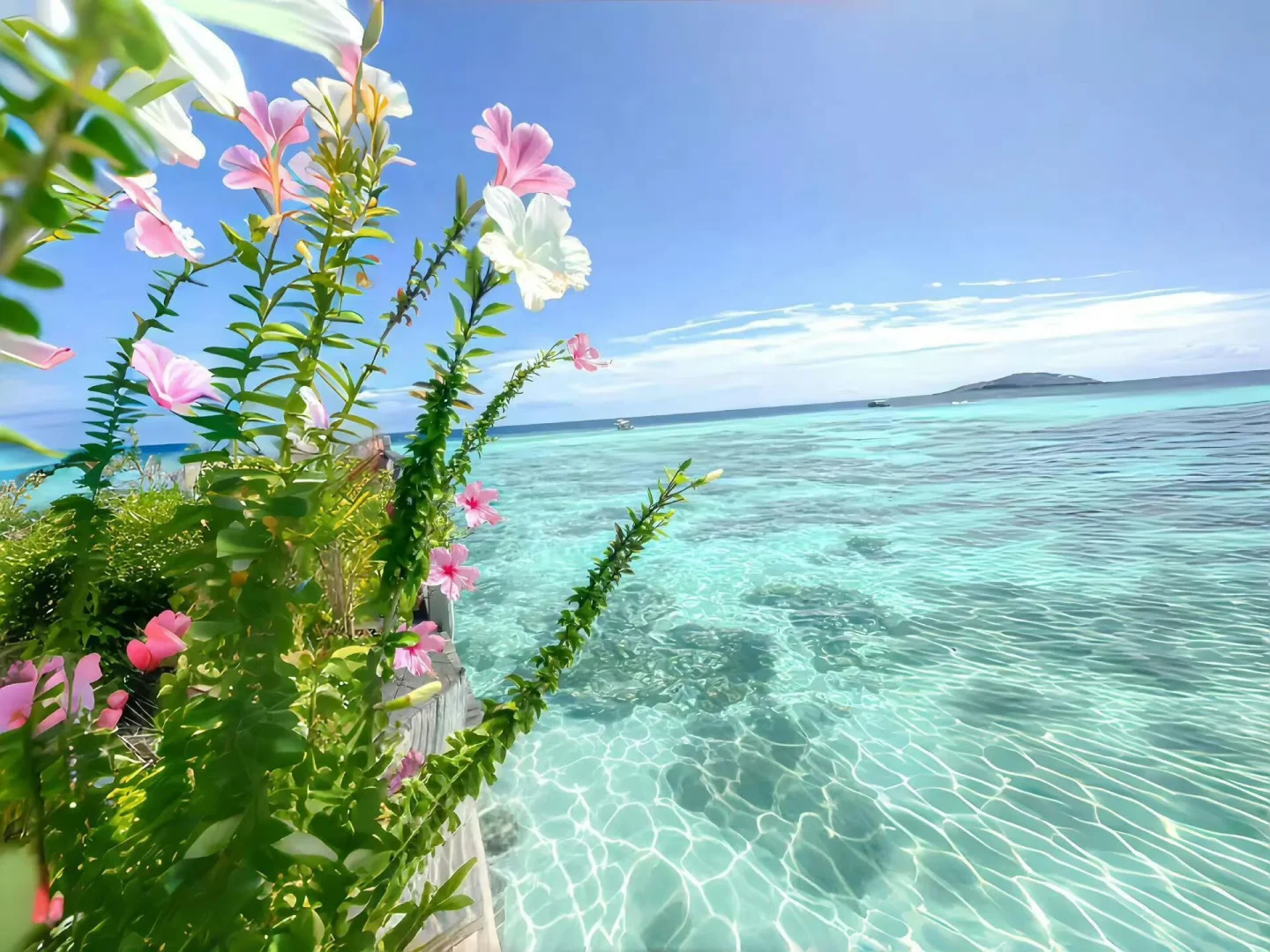 是好看的｜iPad/电脑壁纸呀