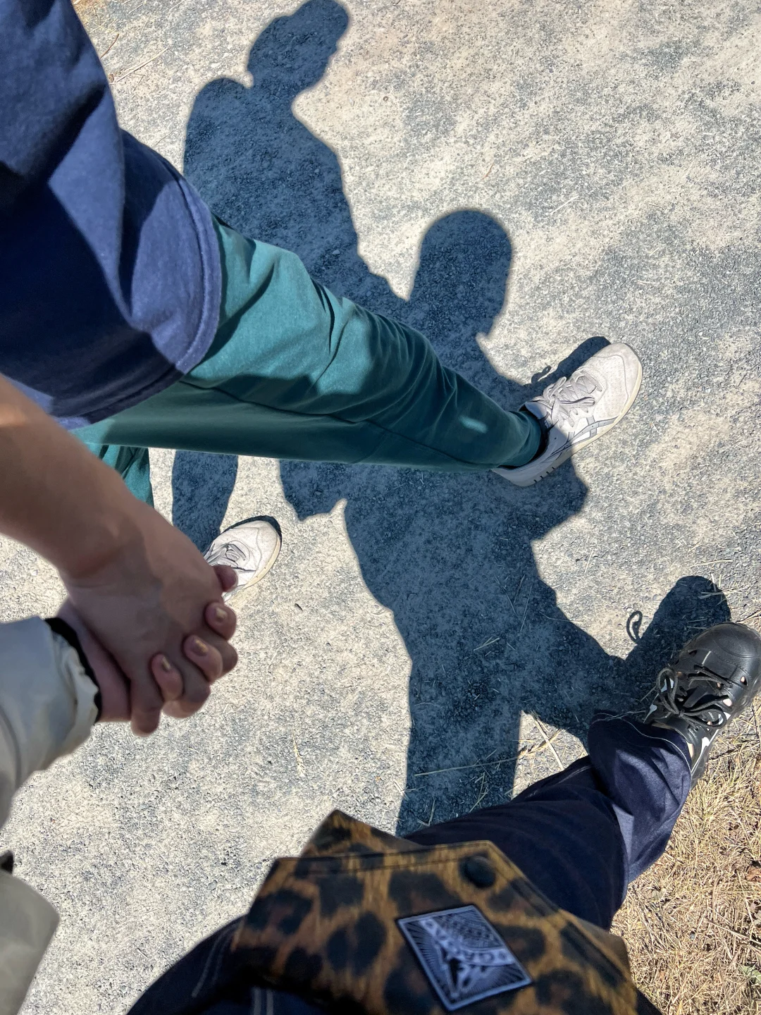 夏天要溜走啦！再不摘蓝莓分分钟蔫成表情包