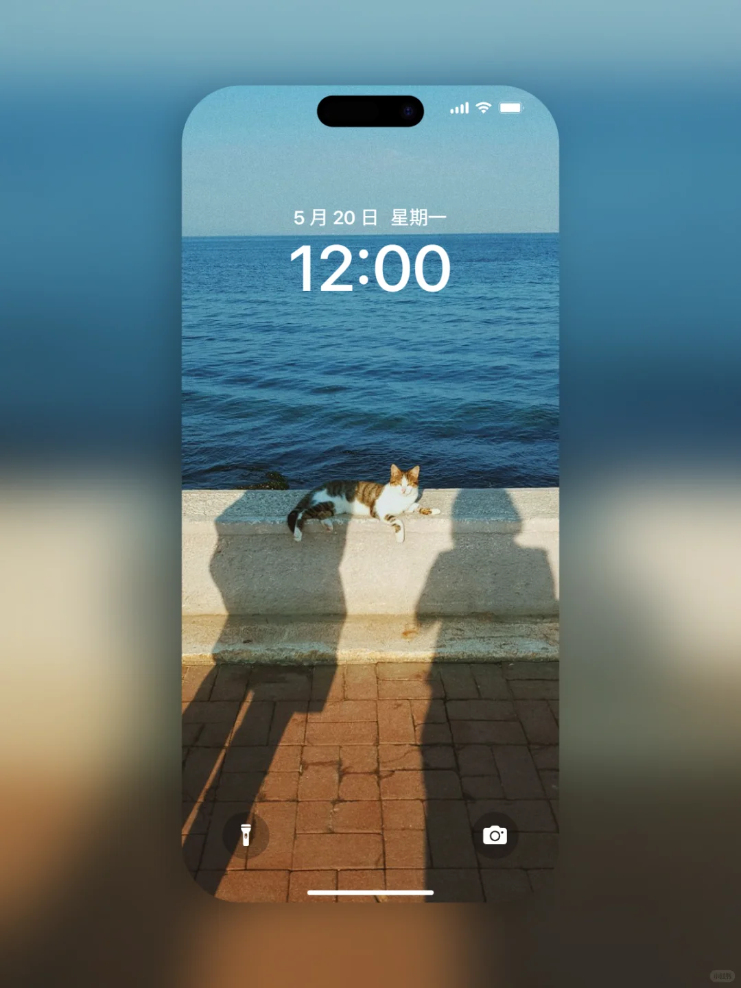 𝐒𝐡𝐚𝐫𝐞｜iPhone壁纸272期