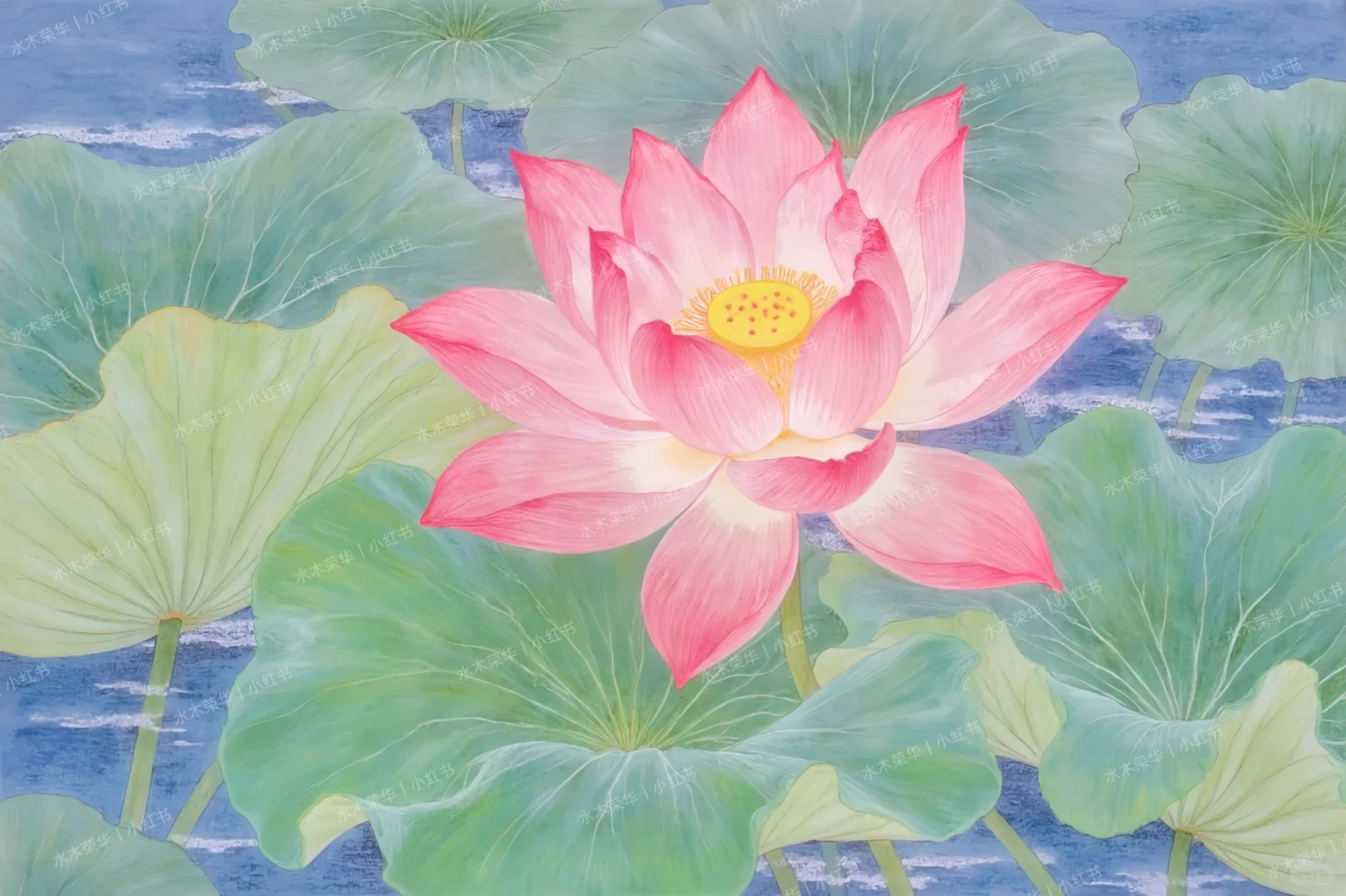 荷叶生绿意，荷花送清风🌸好运莲莲壁纸