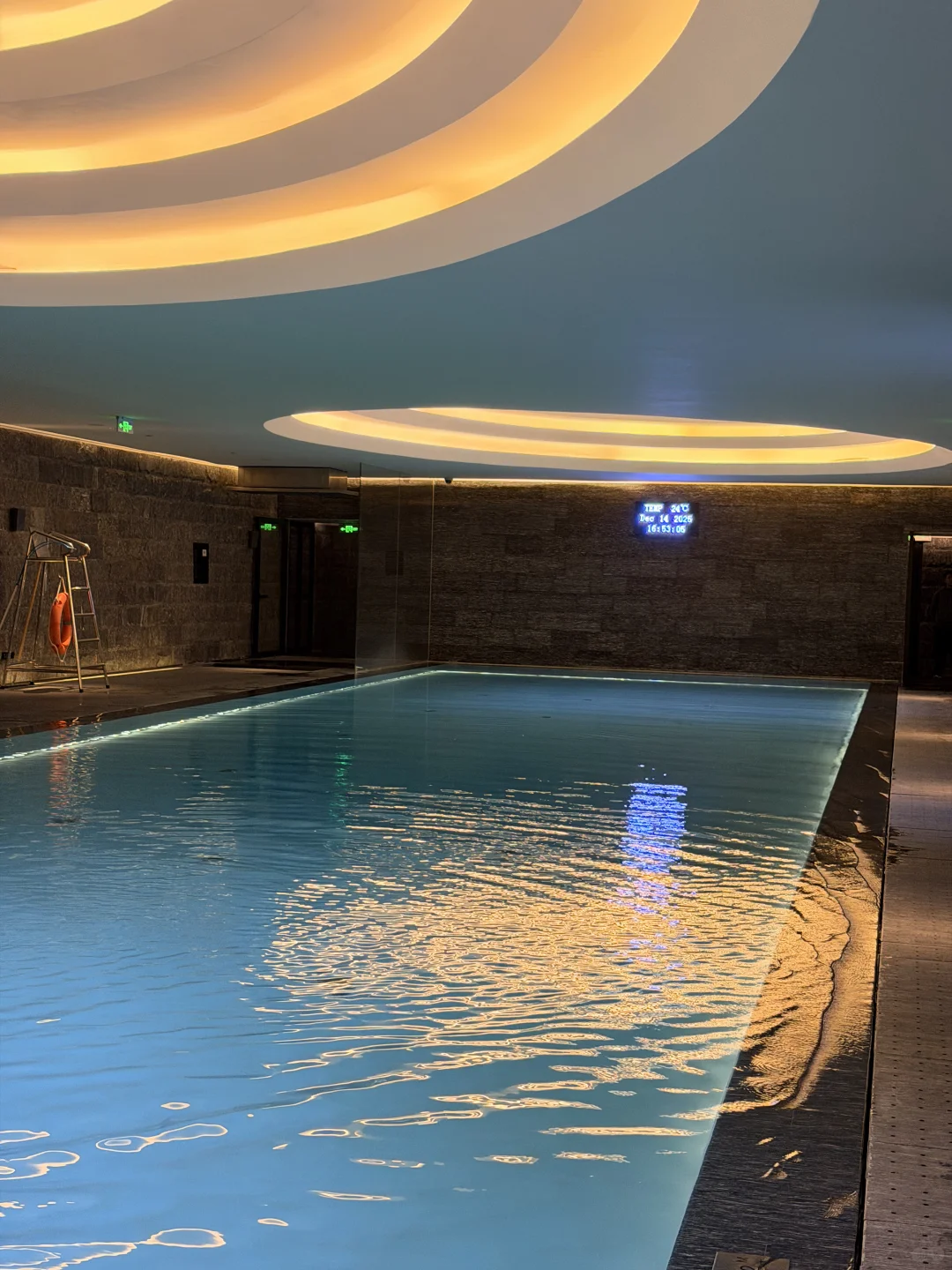 又到了最爱游泳的时间😽