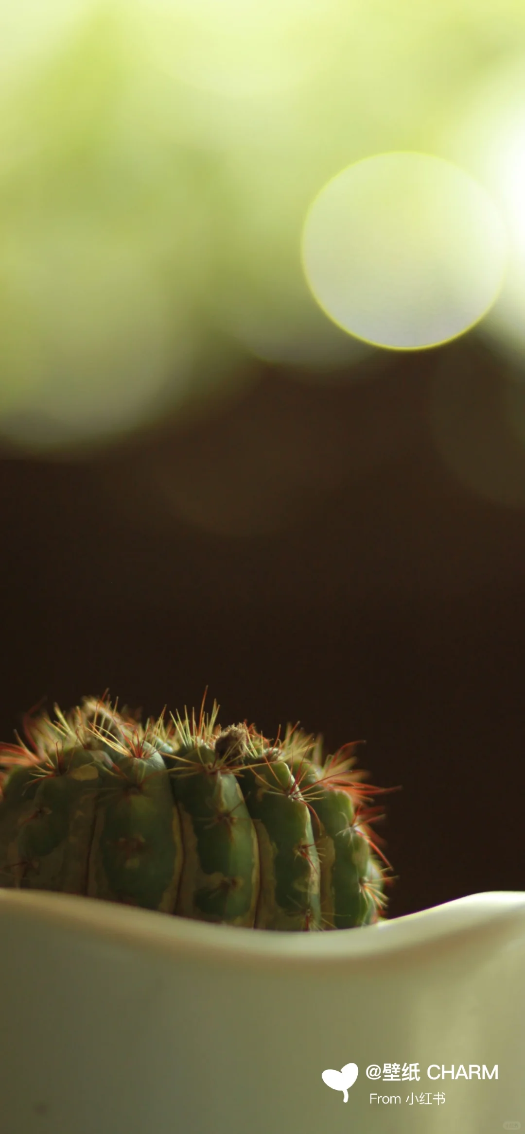 每日原图壁纸分享 ｜ 1220