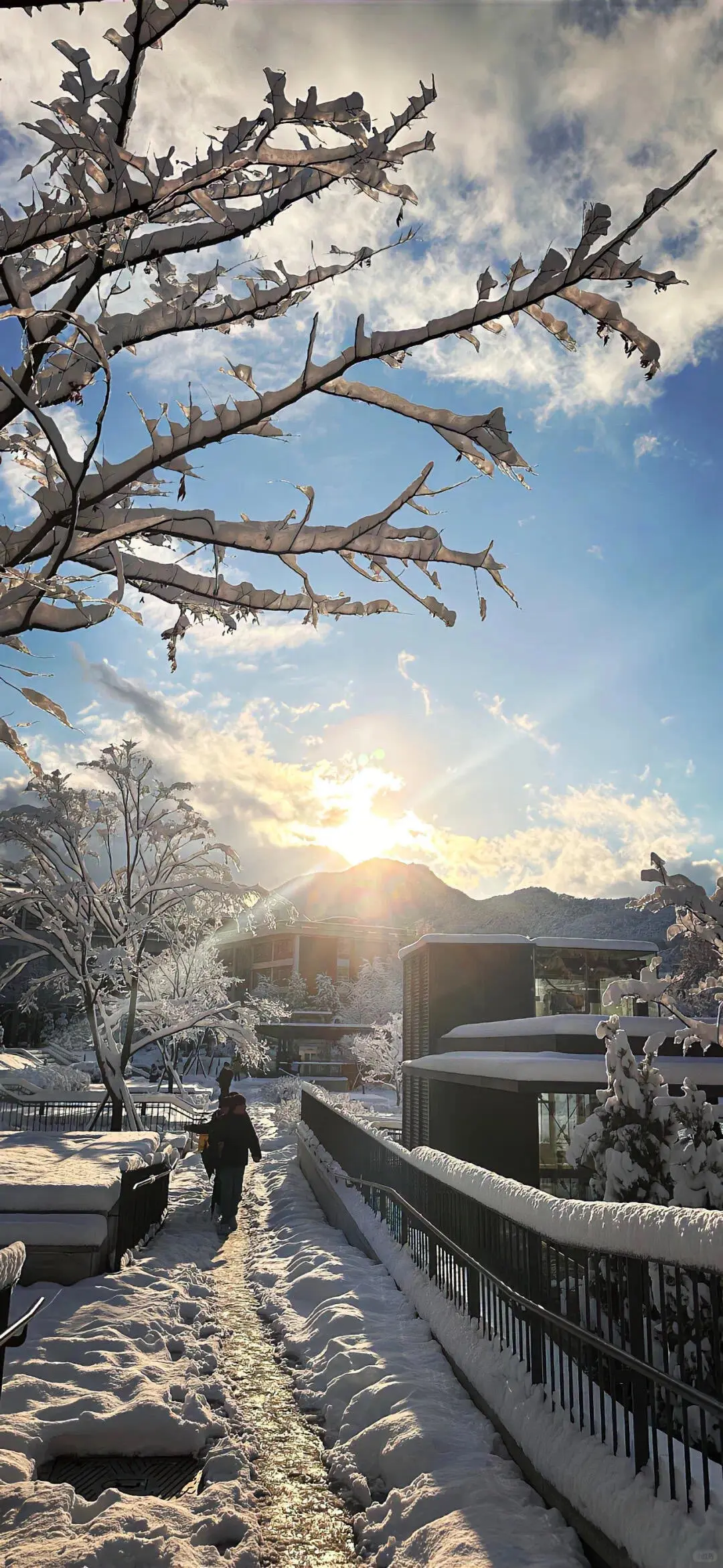 iPhone｜高清壁纸 好看的壁纸分享