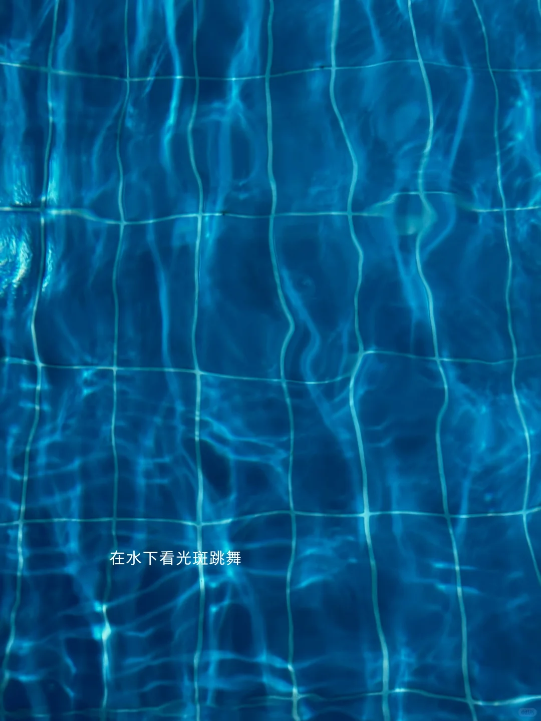 游泳一小时，是为了不必和任何人说话🏊