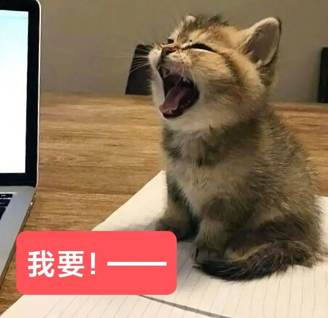 审美积累——小猫表情包