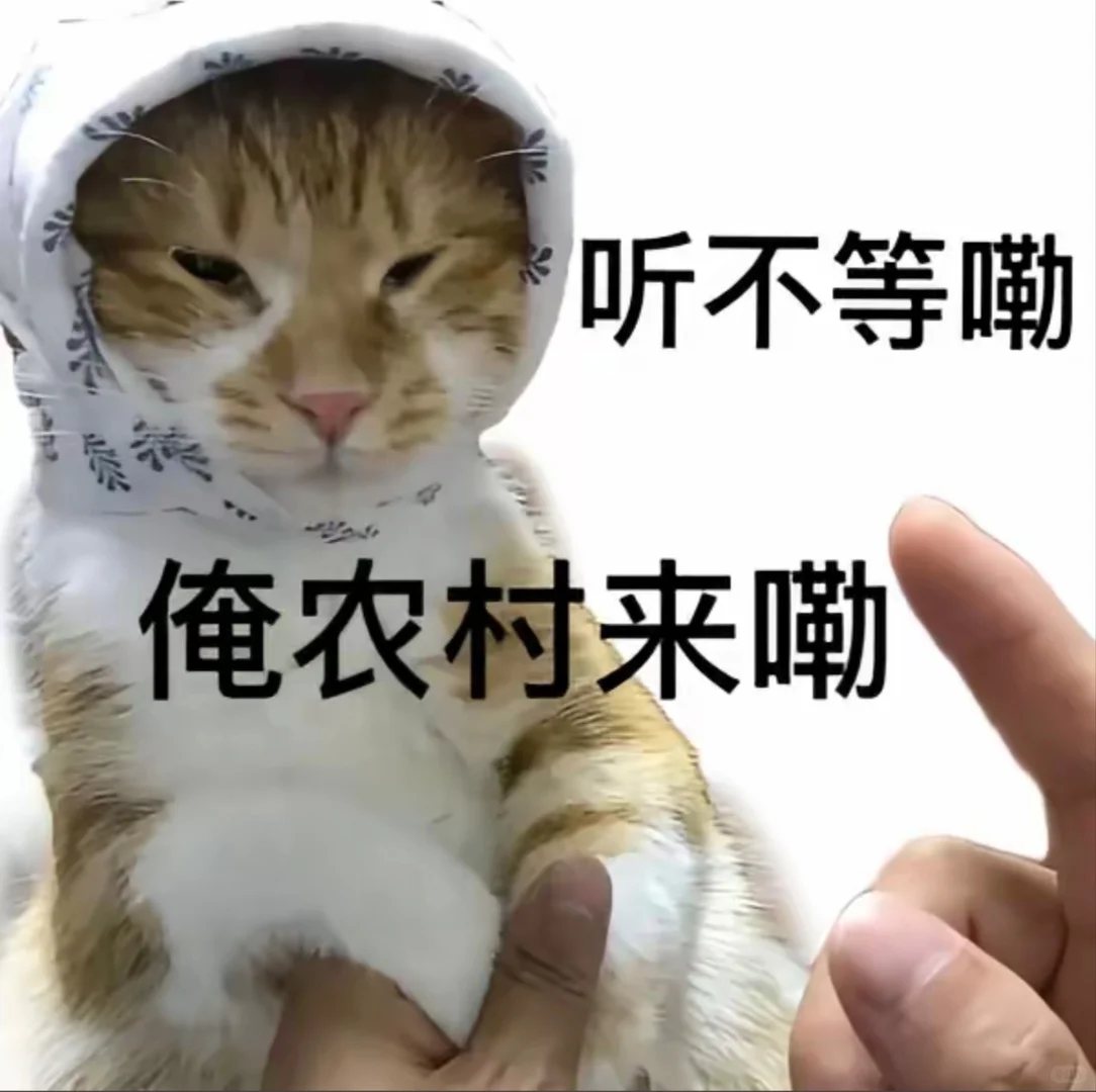 可爱猫咪表情包分享！