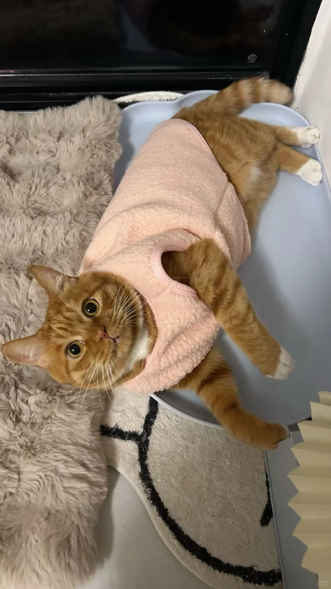 粉色娇嫩四郎我来穿了